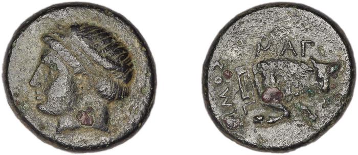 реверс Magnesia ad Maeandrum BMC Magnesia 17-18