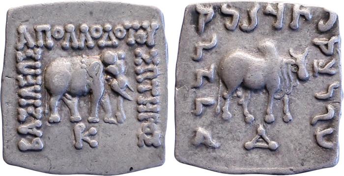 Apollodotus I of Bactria rev