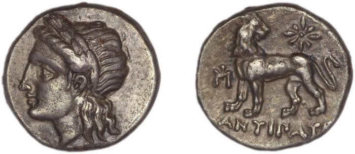 реверс Miletus Marcellesi 2004 4