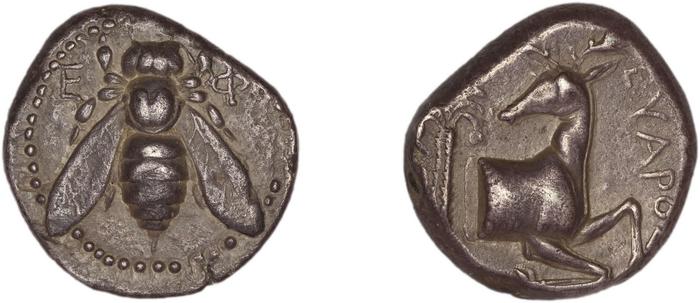 Ephesus Kinns and Holt 2023 Period I, AR VII, реверс, Британский музей