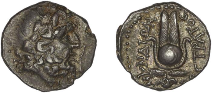 Myndus Zabel and Meadows 2002 Group B, реверс, bm
