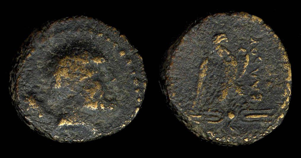 аверс Balbura Berlin 18282559