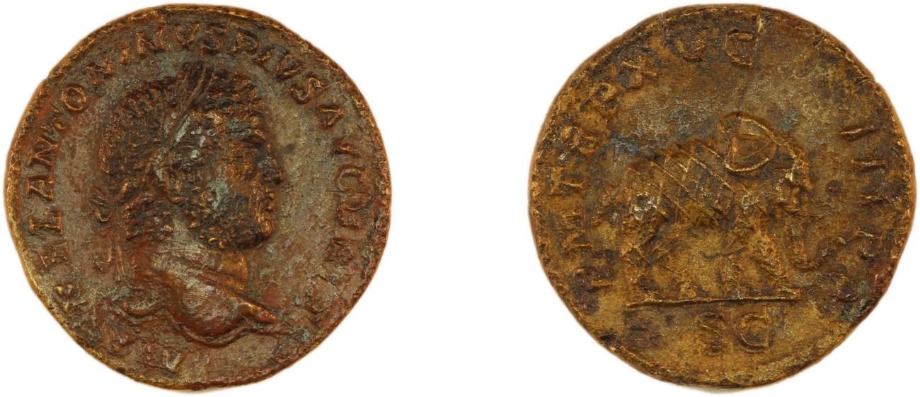 obverse RIC IV Caracalla 491