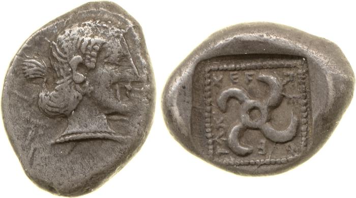 Teththiweibi Phellus Hoff 2017 M263-5, реверс, bm