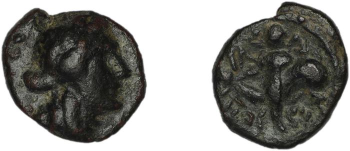 реверс Iasos ashton 2007 pl. 15, 230-1
