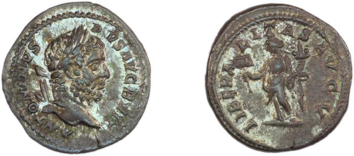 reverse RIC IV Caracalla 215A