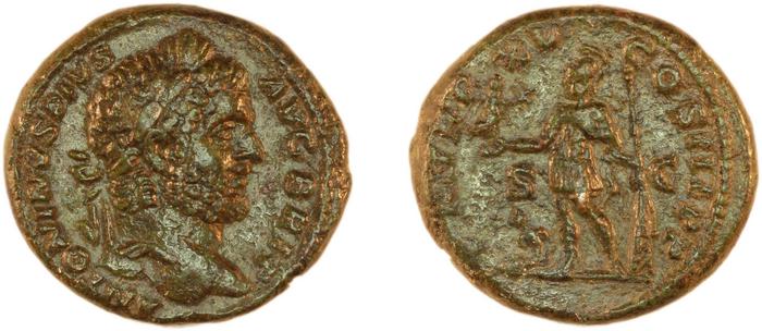 reverse RIC IV Caracalla 493A