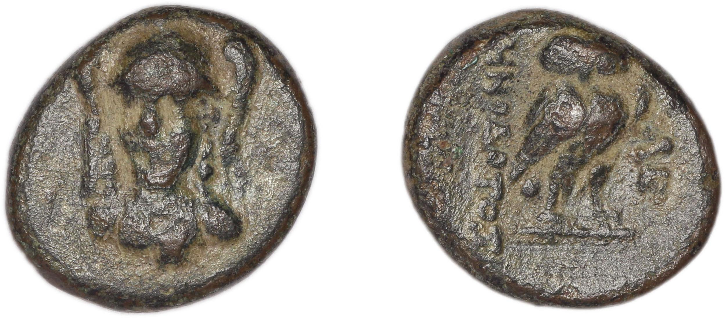 аверс Lebedus Kinns 1980 Period III, AE 5