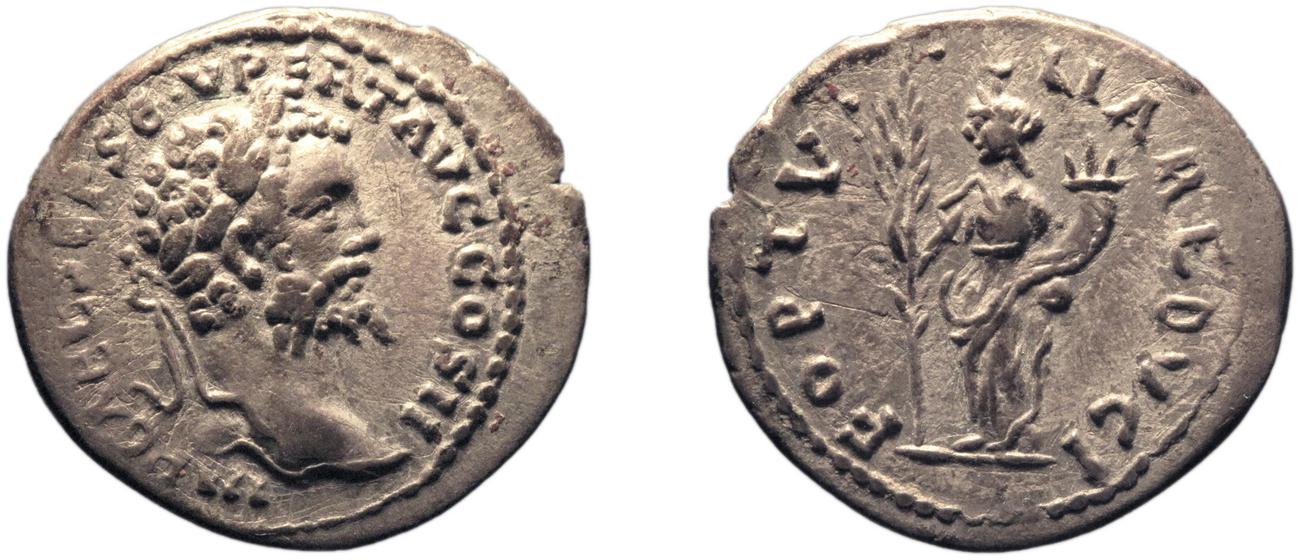 RIC IV Septimius Severus 384, аверс, bm