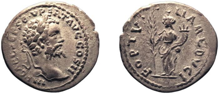 RIC IV Septimius Severus 384, реверс, bm