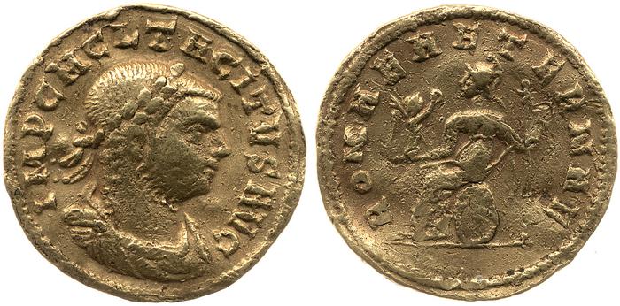 reverse RIC V Tacitus 75
