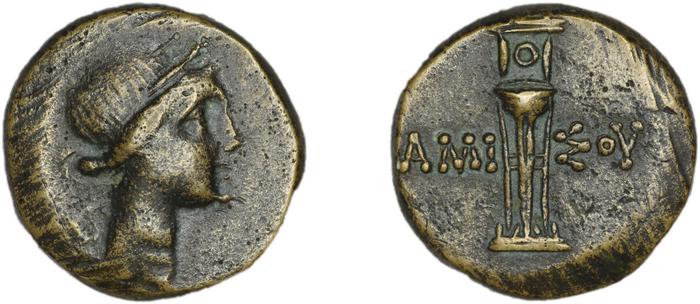 реверс Amisus Waddington 1925 19