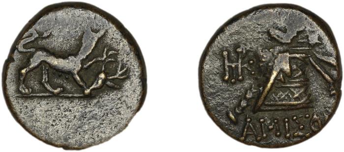 реверс Amisus Waddington 1925 28