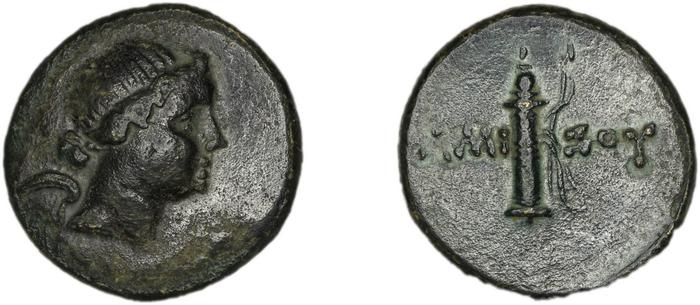 реверс Amisus Waddington 1925 37