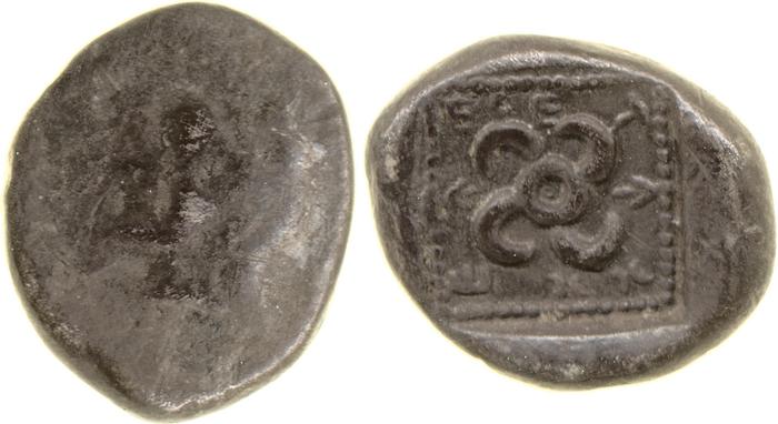 Teththiweibi Phellus Hoff 2017 M263-5, реверс, bm