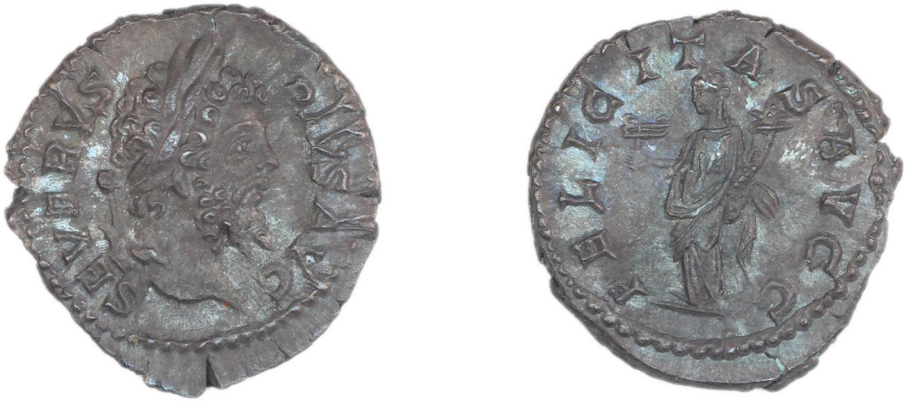 RIC IV Septimius Severus 261, аверс, bm