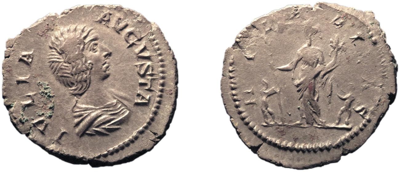 RIC IV Septimius Severus 557, аверс, bm