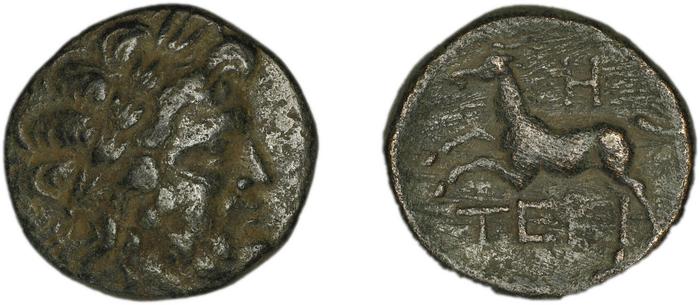 Termessus BMC Termessus Major 3-16, реверс, bm