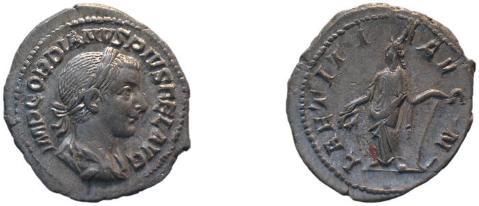 reverse RIC IV Gordian III 113