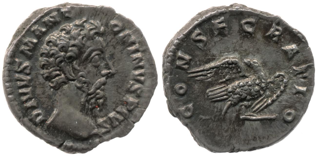 аверс RIC III Commodus 264