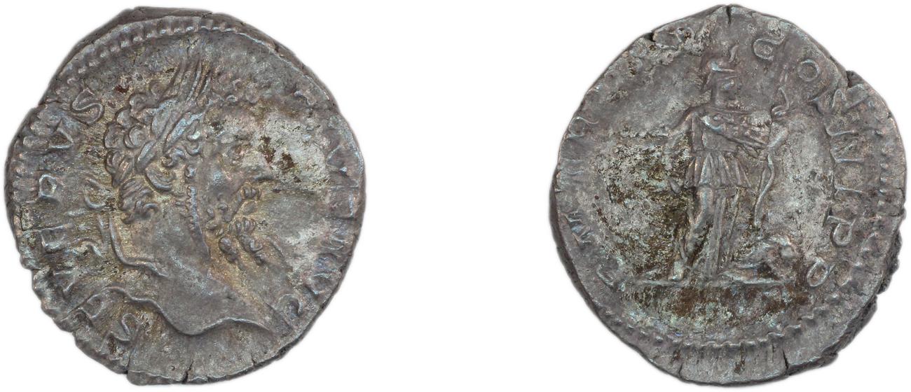 obverse RIC IV Septimius Severus 207A