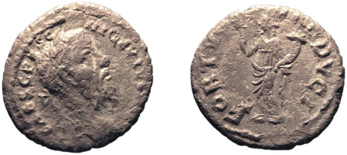 реверс RIC IV Pescennius Niger 28B