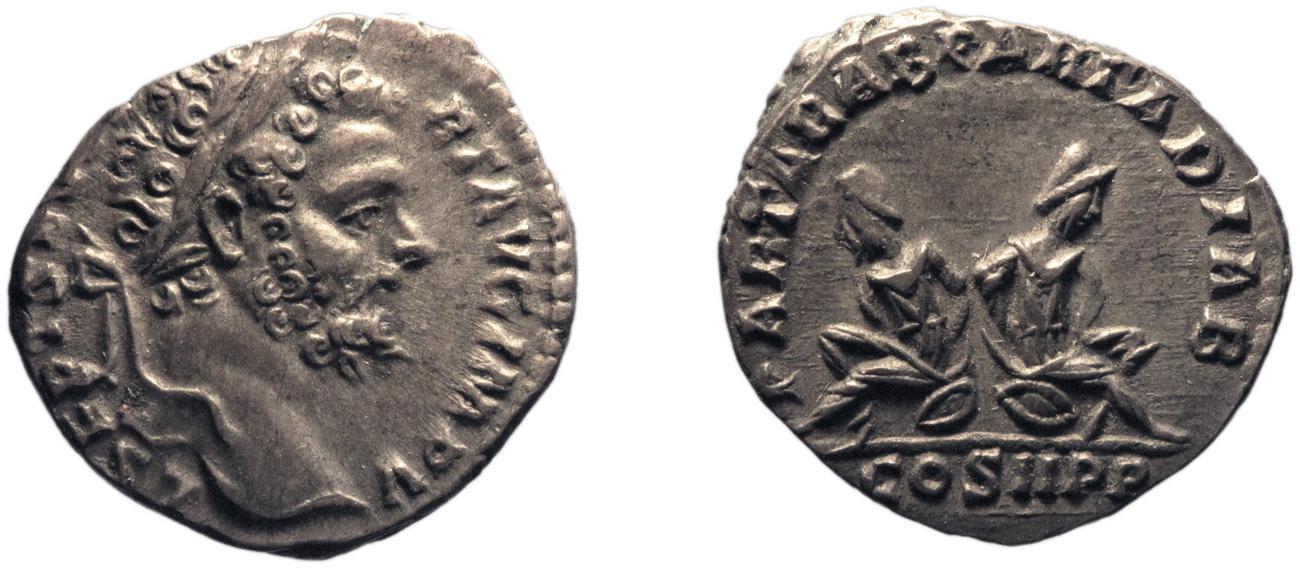 obverse RIC IV Septimius Severus 62