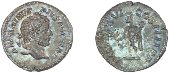 reverse RIC IV Caracalla 206A