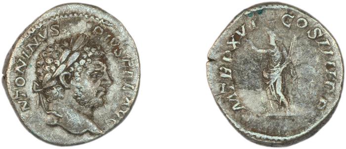 reverse RIC IV Caracalla 208b