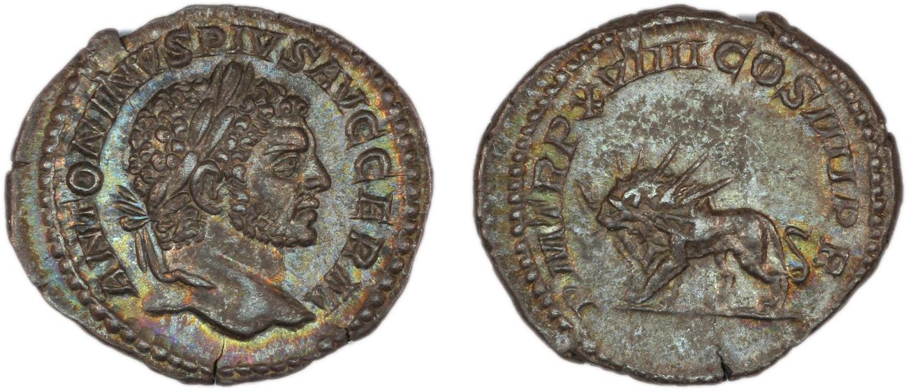 RIC IV Caracalla 283C, аверс, Британский музей