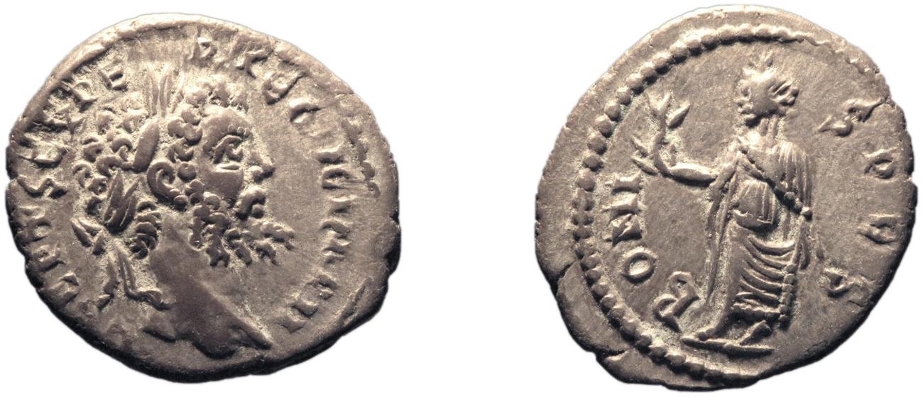 RIC IV Septimius Severus 446, аверс, bm