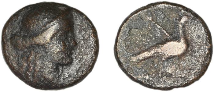 Samos BMC Samos 201-209, реверс, bm