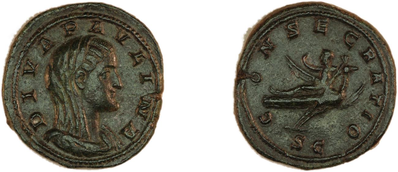RIC IV Caecilia Paulina 3, аверс, bm