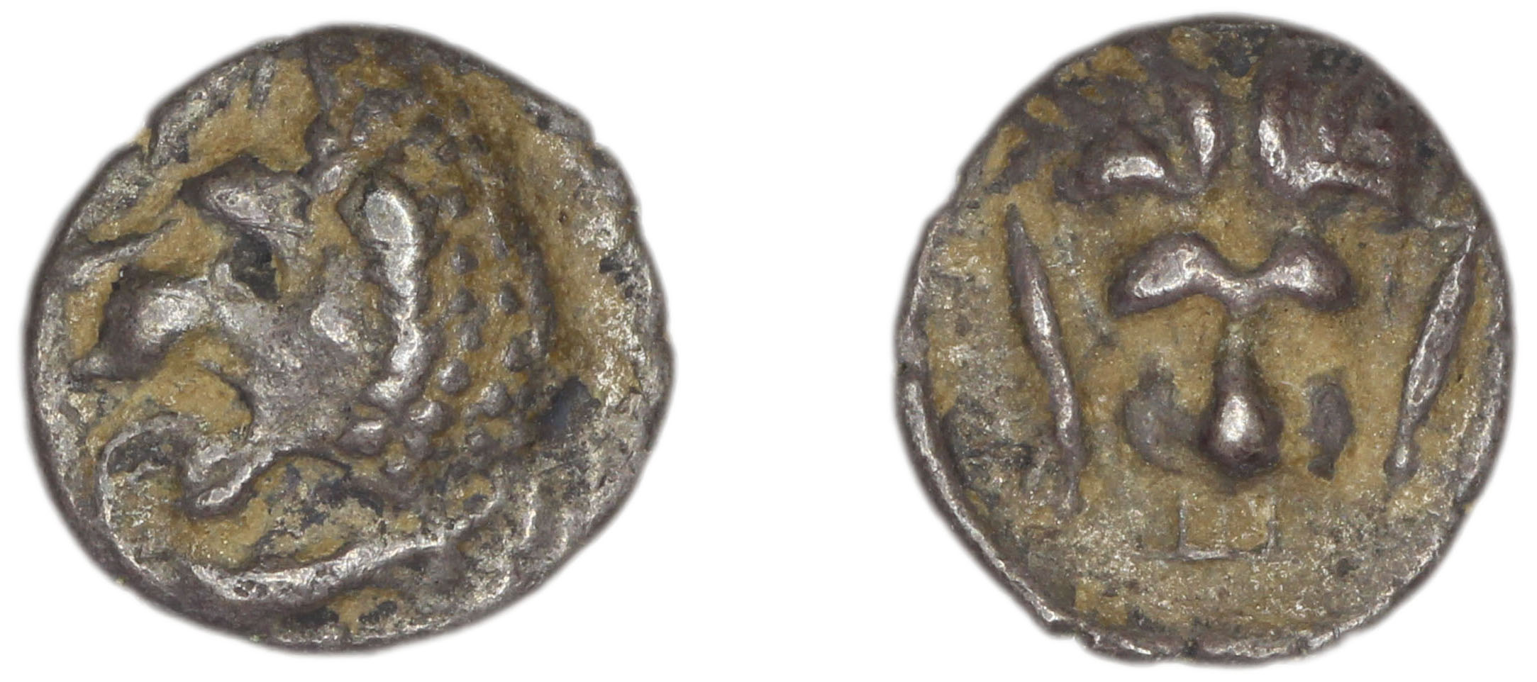 Hecatomnus of Caria Mylasa Troxell 1984 1, аверс, Британский музей