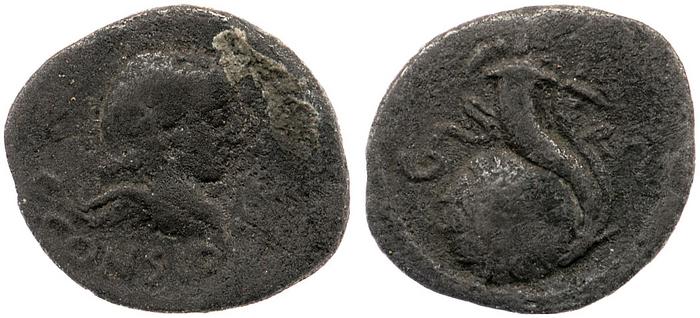 reverse RRC 465/8b