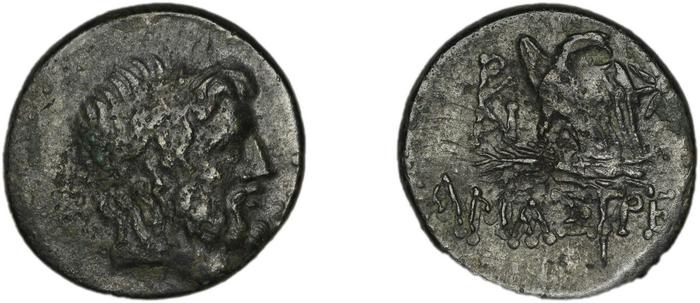 реверс Amastris Waddington 1925 14