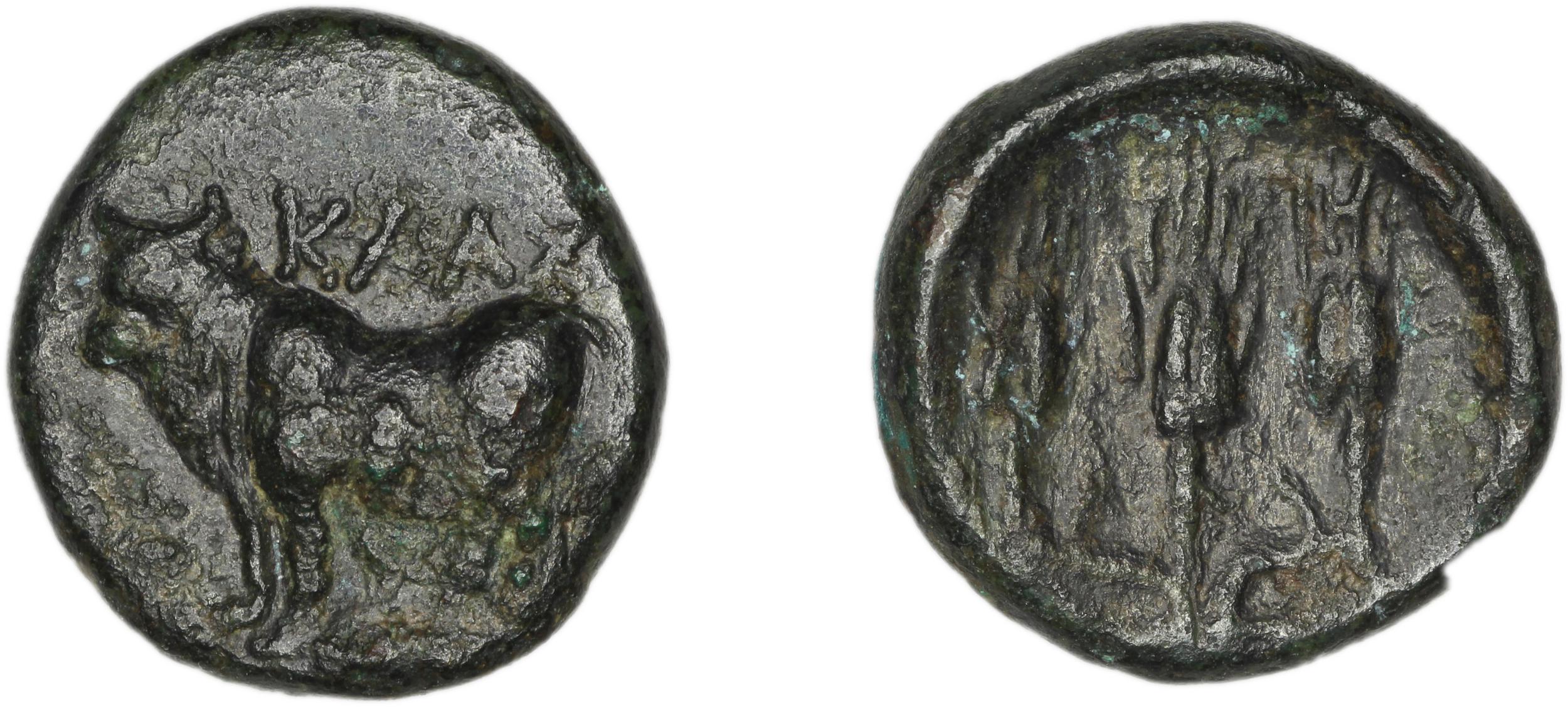 аверс Calchedon Türkoğlu 2014 B01
