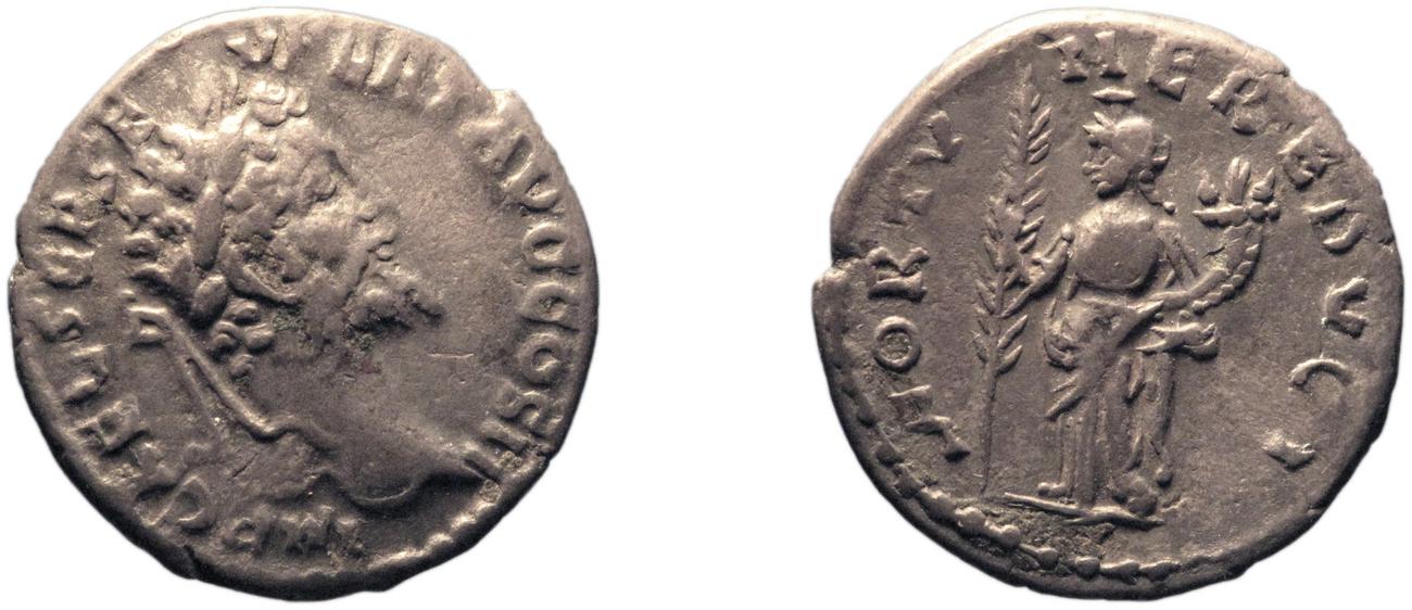 аверс RIC IV Septimius Severus 384
