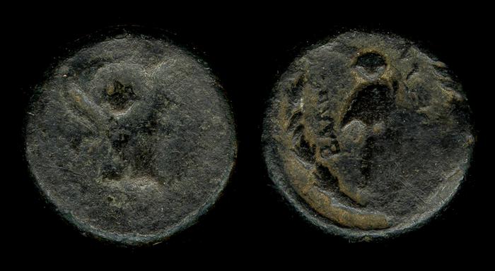 реверс Balbura Tek 2006 1
