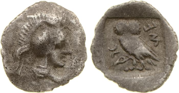 реверс Mithrapata Lycia Hoff 2017 M231