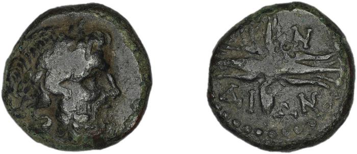 Myndus BMC Myndus 18-23, реверс, bm