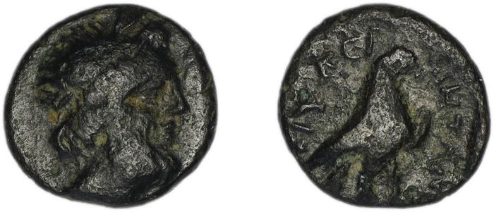 реверс Ceramus Spanu 1997 14-16
