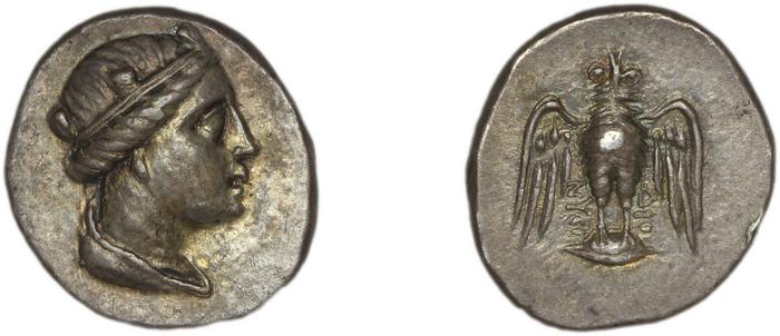 Amisus Waddington 1925 11a, реверс, bm