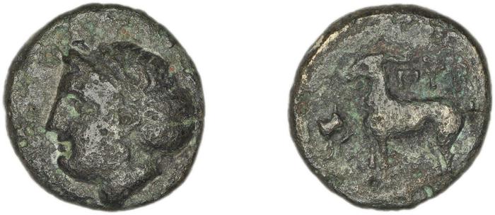 Pyrrha BMC Pyrrha 1-3, реверс, bm