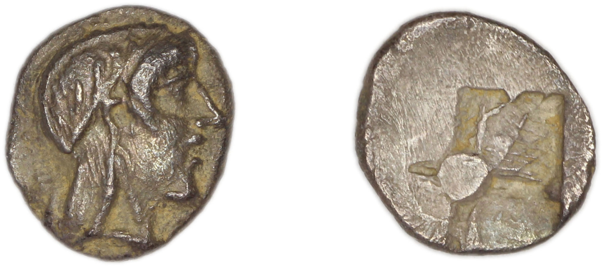 Colophon Milne 1941 Period II, half-obols, quarter obols, аверс, Британский музей