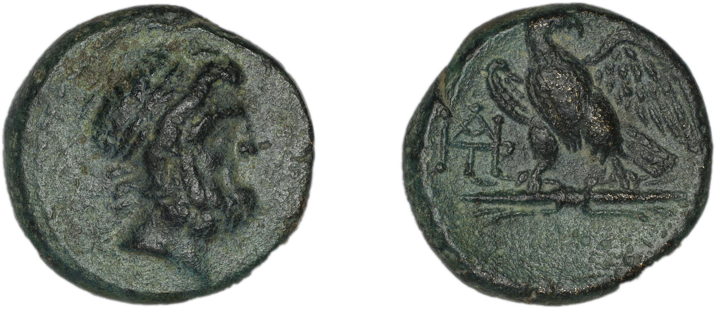 Deiotarus of Galatia Galatia Newell 1934 2, аверс, Британский музей