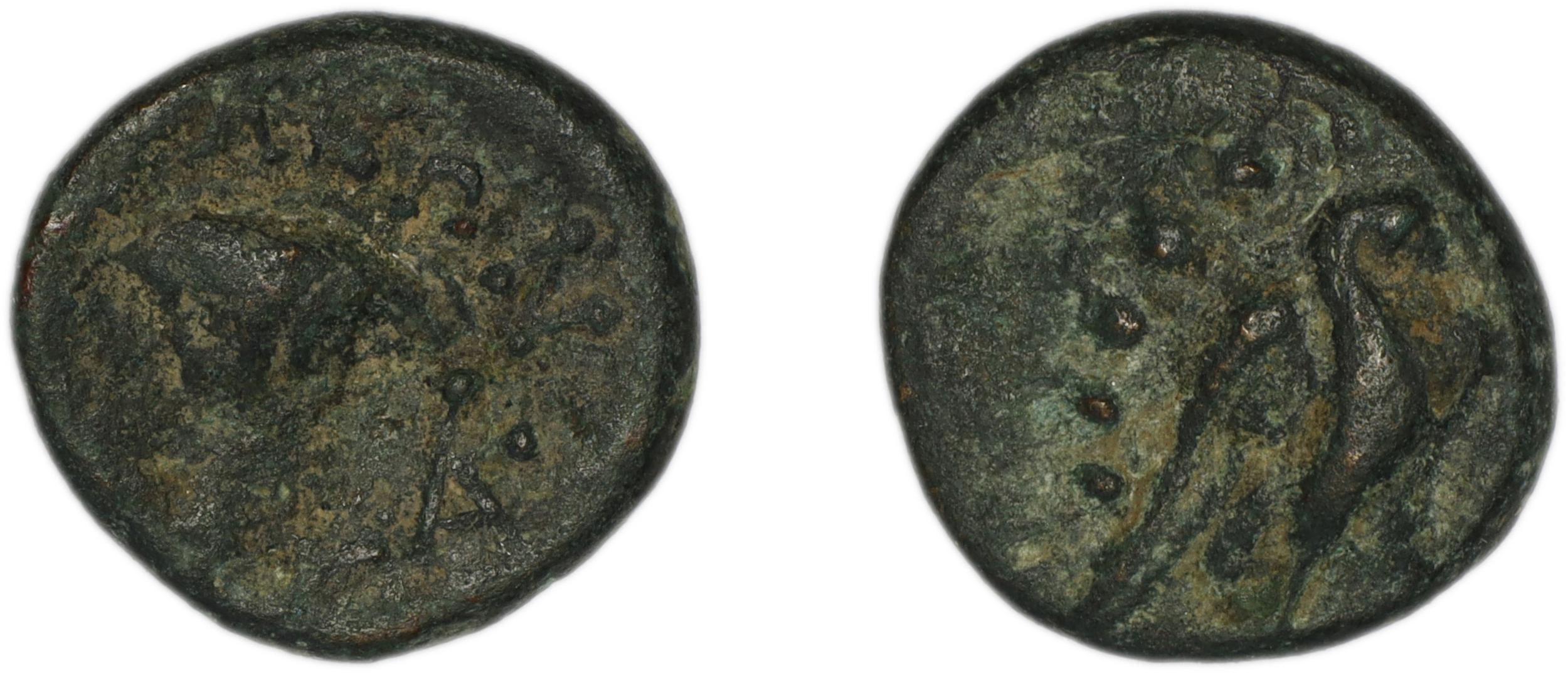 аверс Soli (Pompeiopolis) British Museum 1981.4.6.3