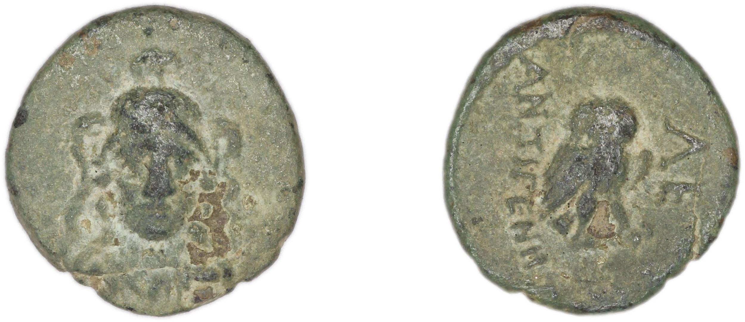 Lebedus Kinns 1980 Period III, AE 5, аверс, Британский музей