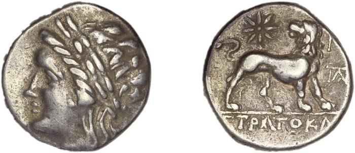 реверс Miletus Marcellesi 2004 41
