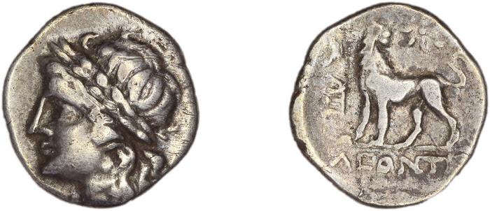 реверс Miletus Marcellesi 2004 42